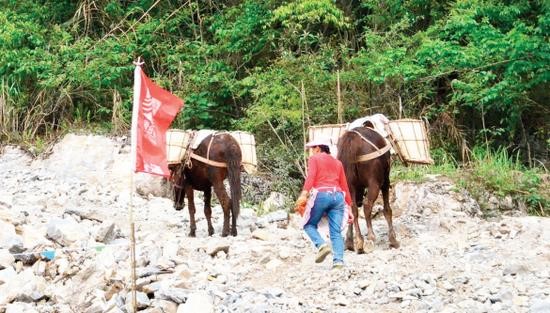 安徽騾子運輸隊